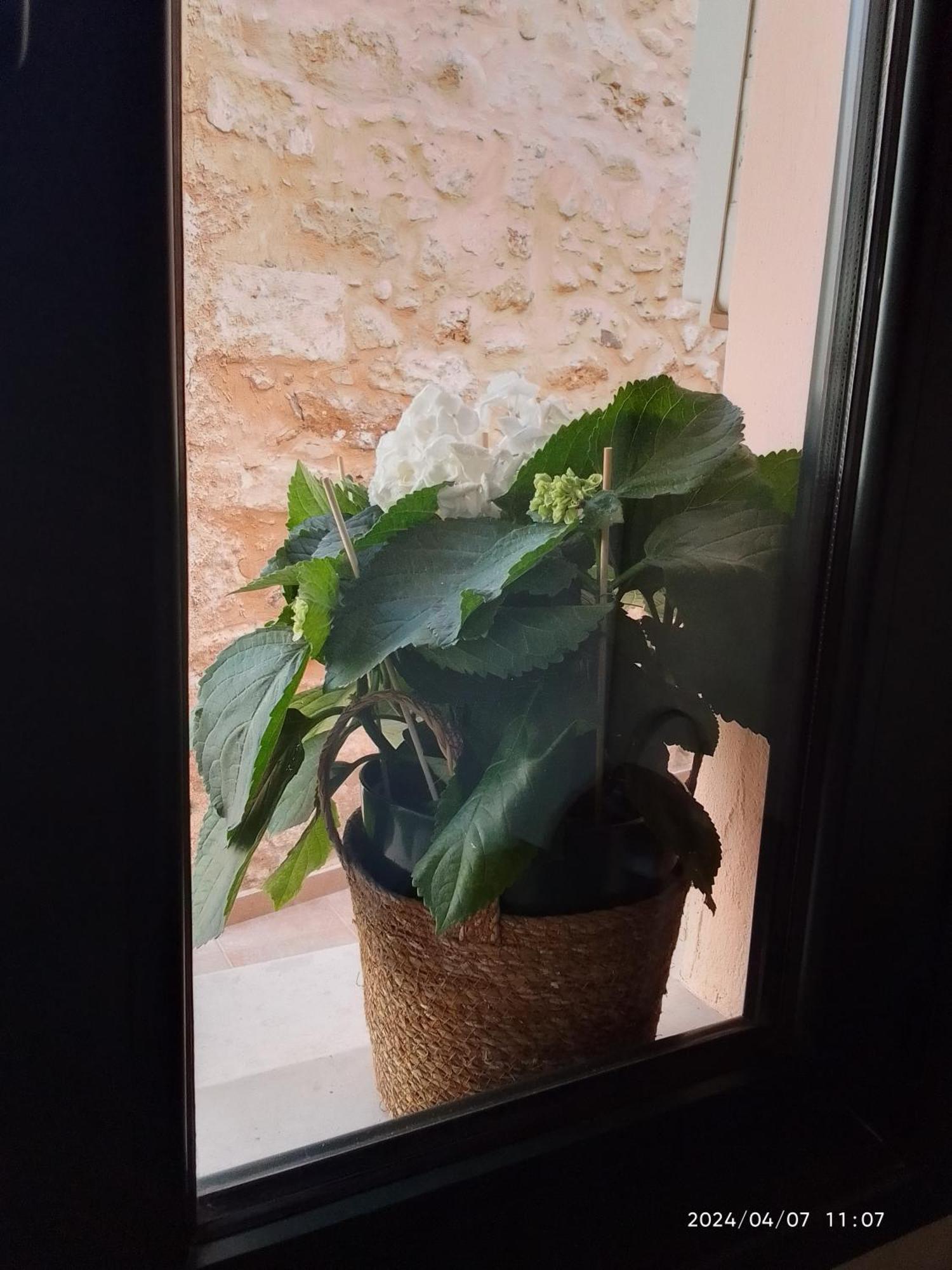 Casa vacanze Creta In Heraklion Center 1 Candia